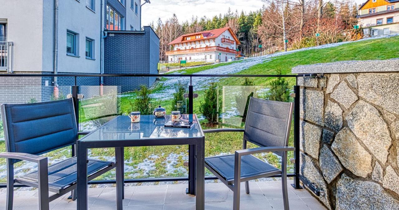 Przy Lesie Apartment Swieradow-Zdroj